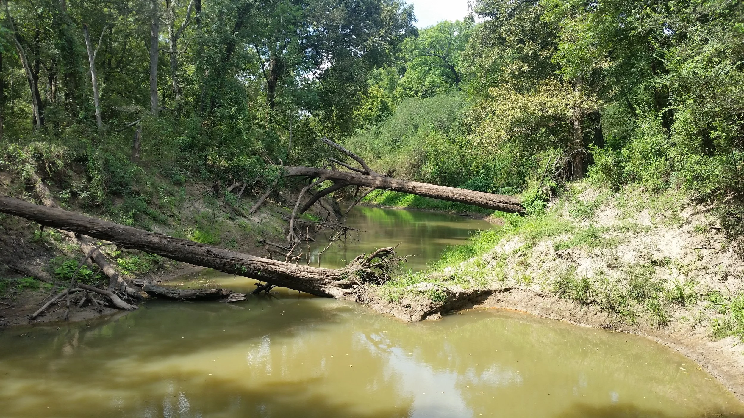 20150919_121421.jpg