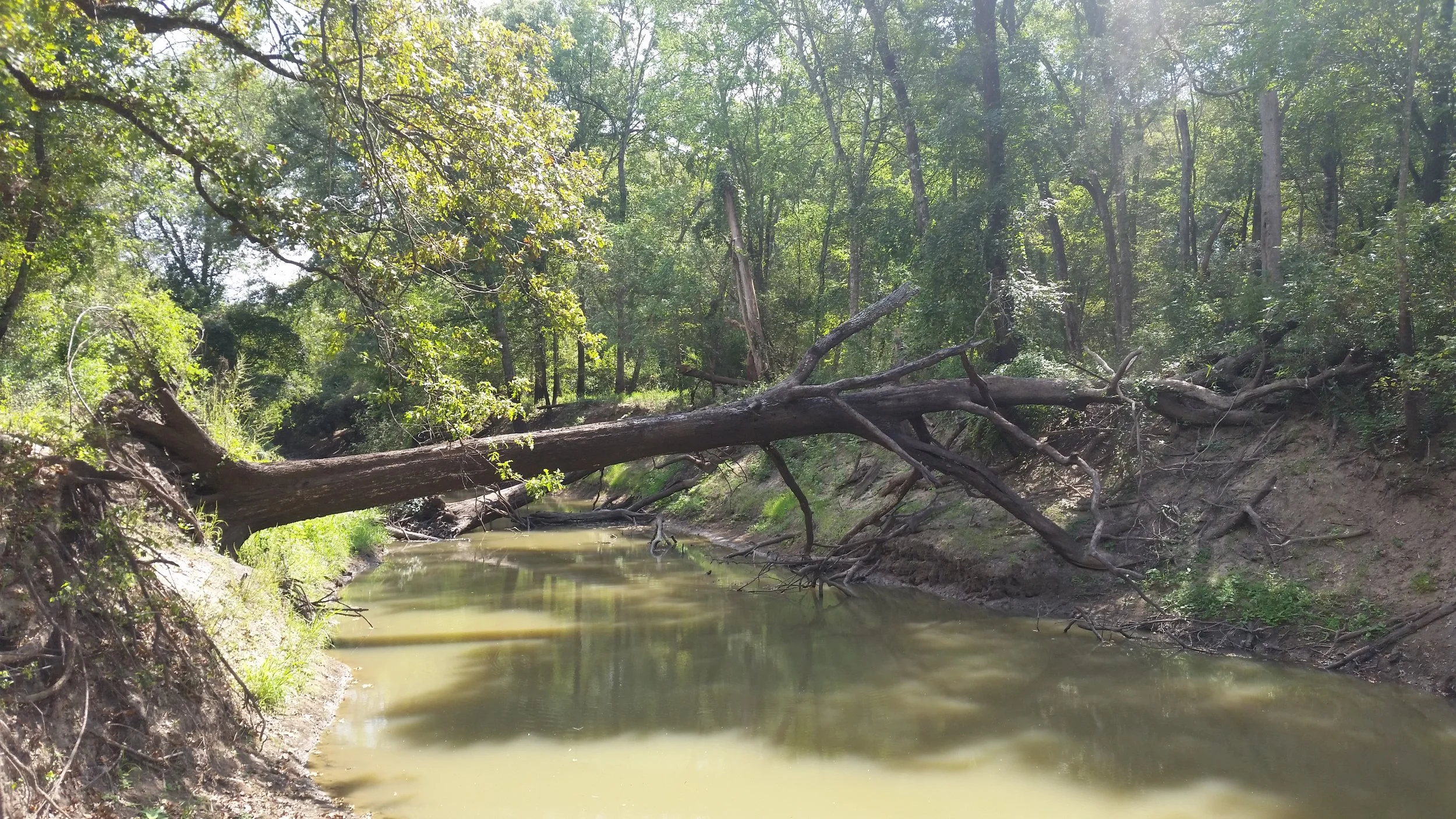 20150919_121754.jpg