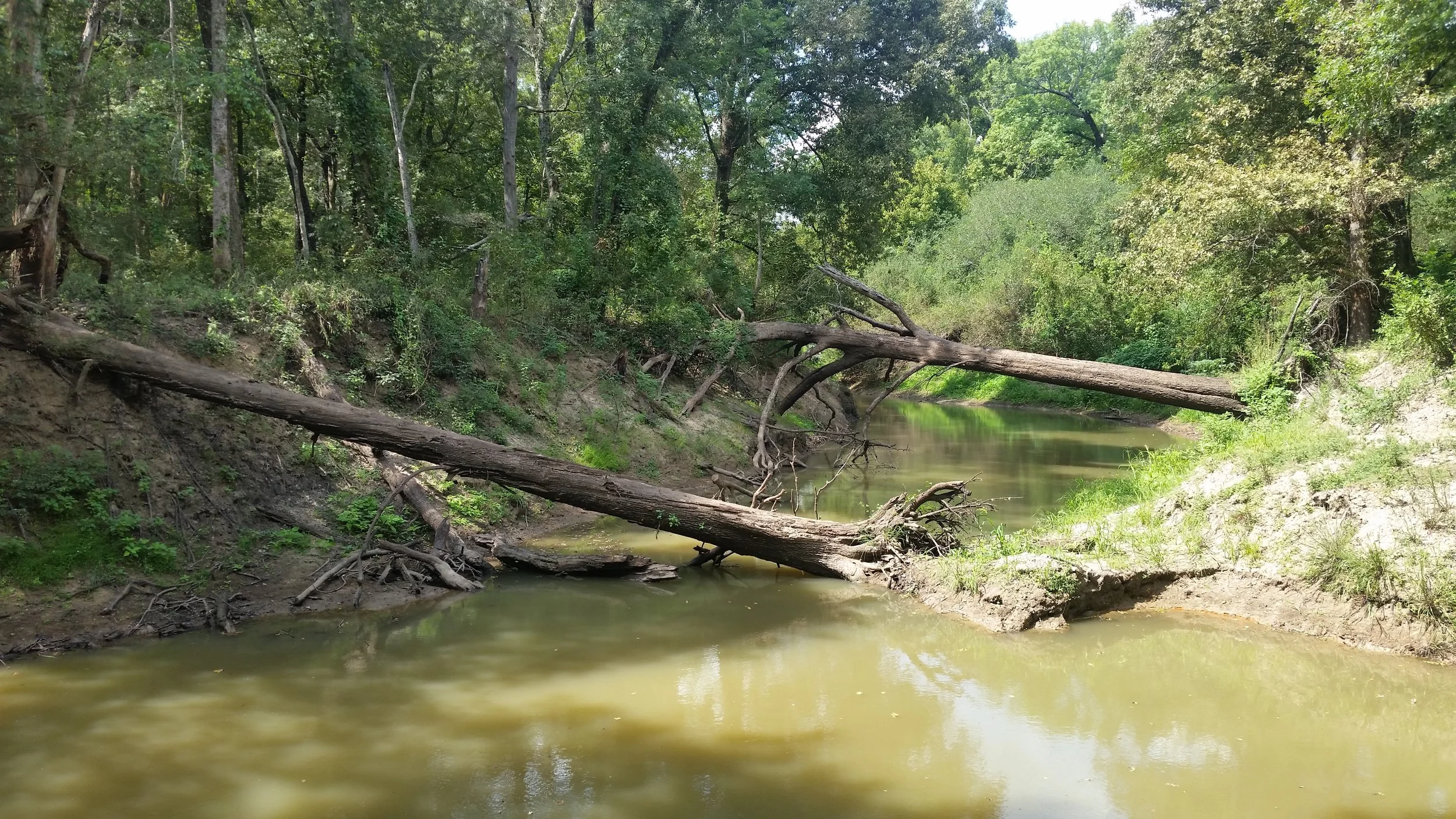 20150919_121425.jpg