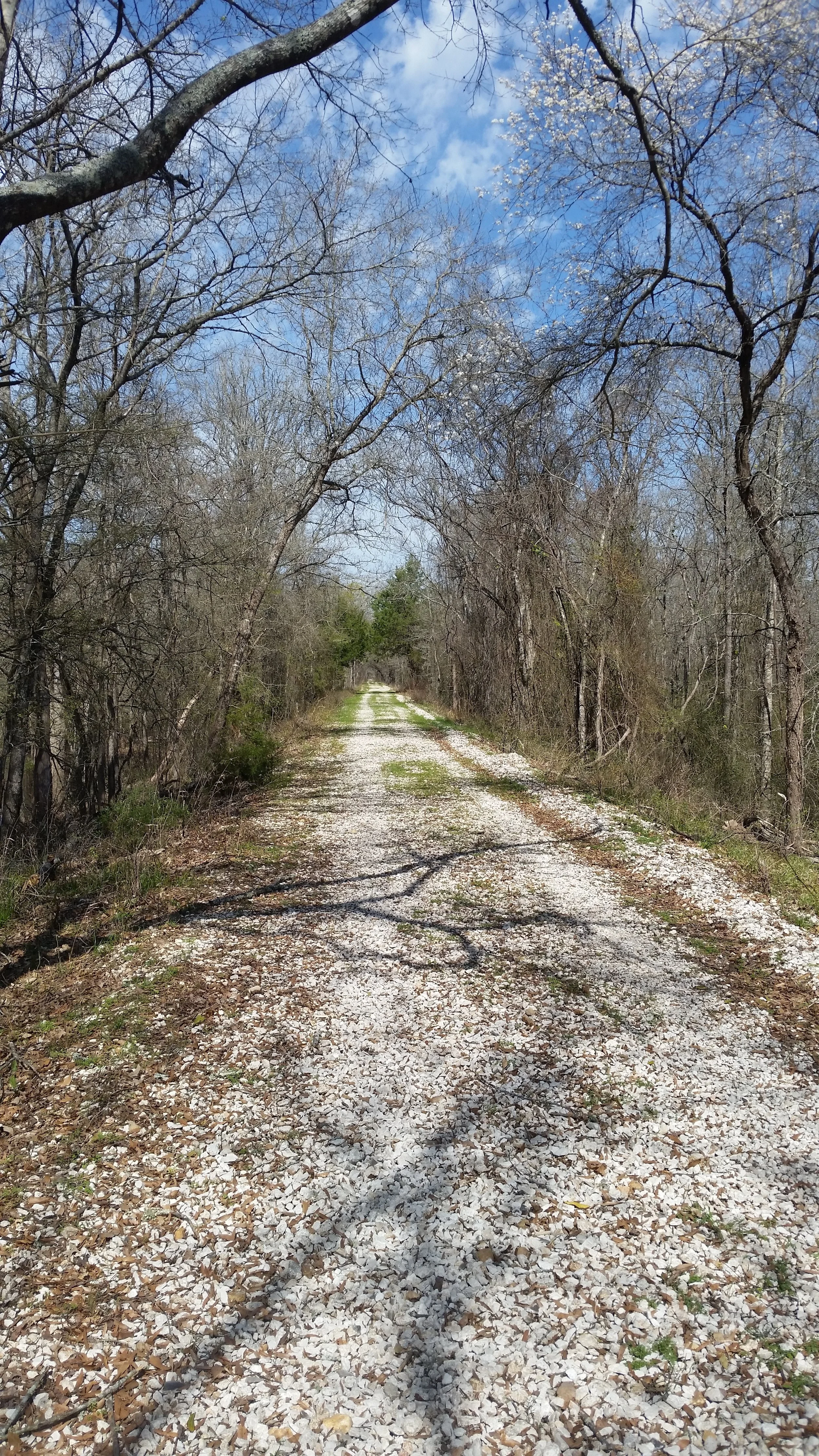 20160306_111342.jpg