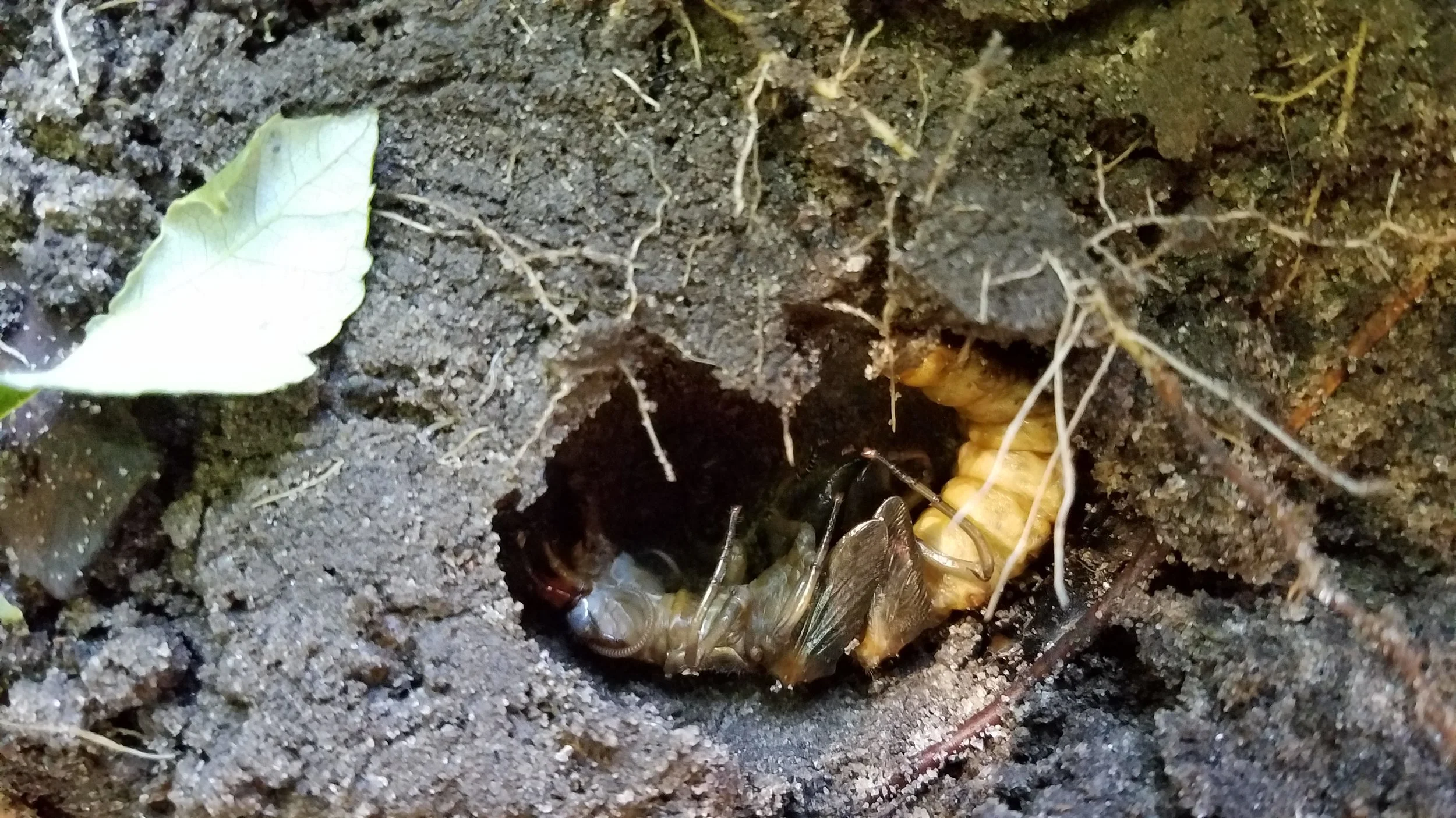 20170506_122147.jpg