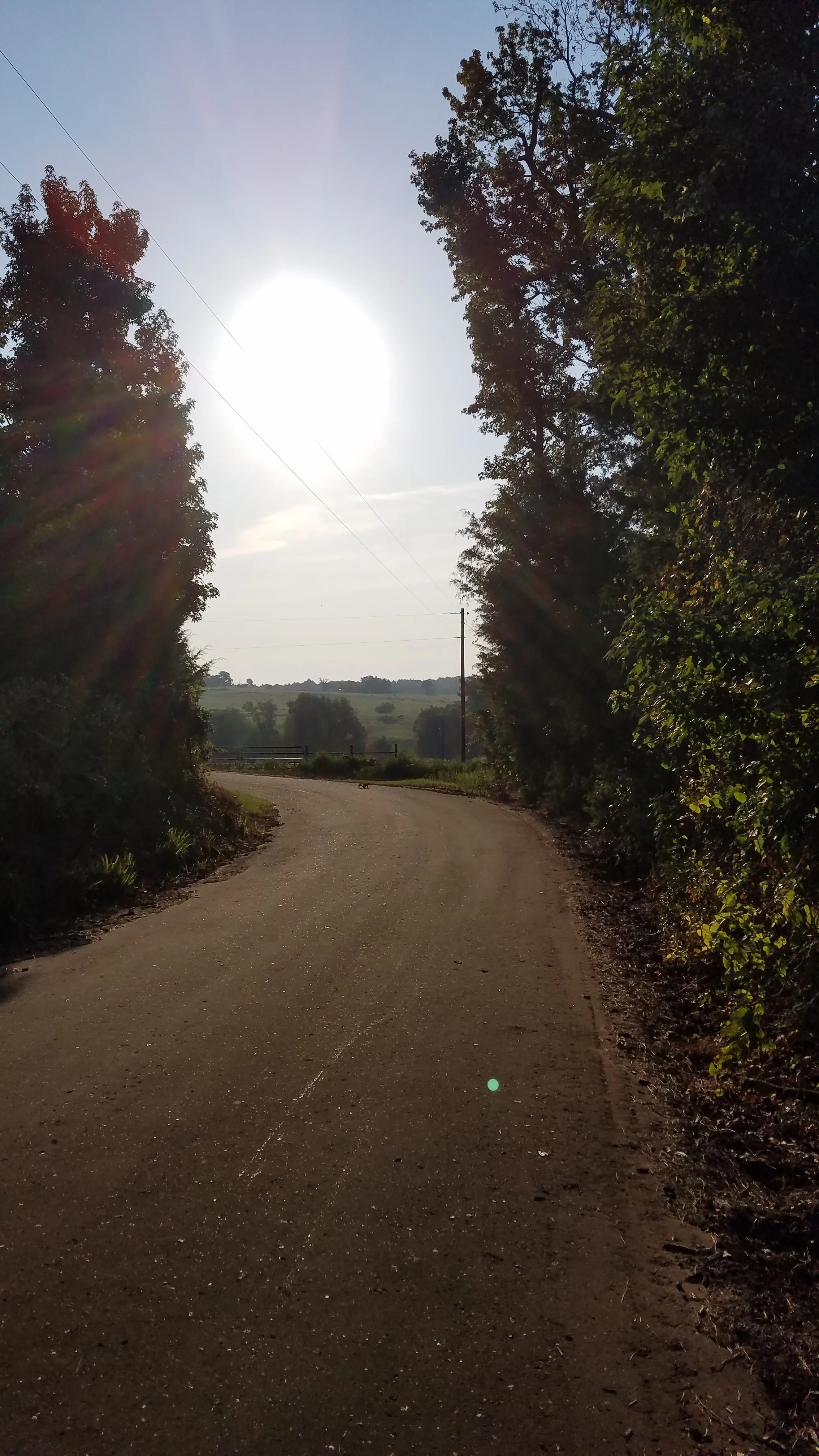 20170722_075517.jpg