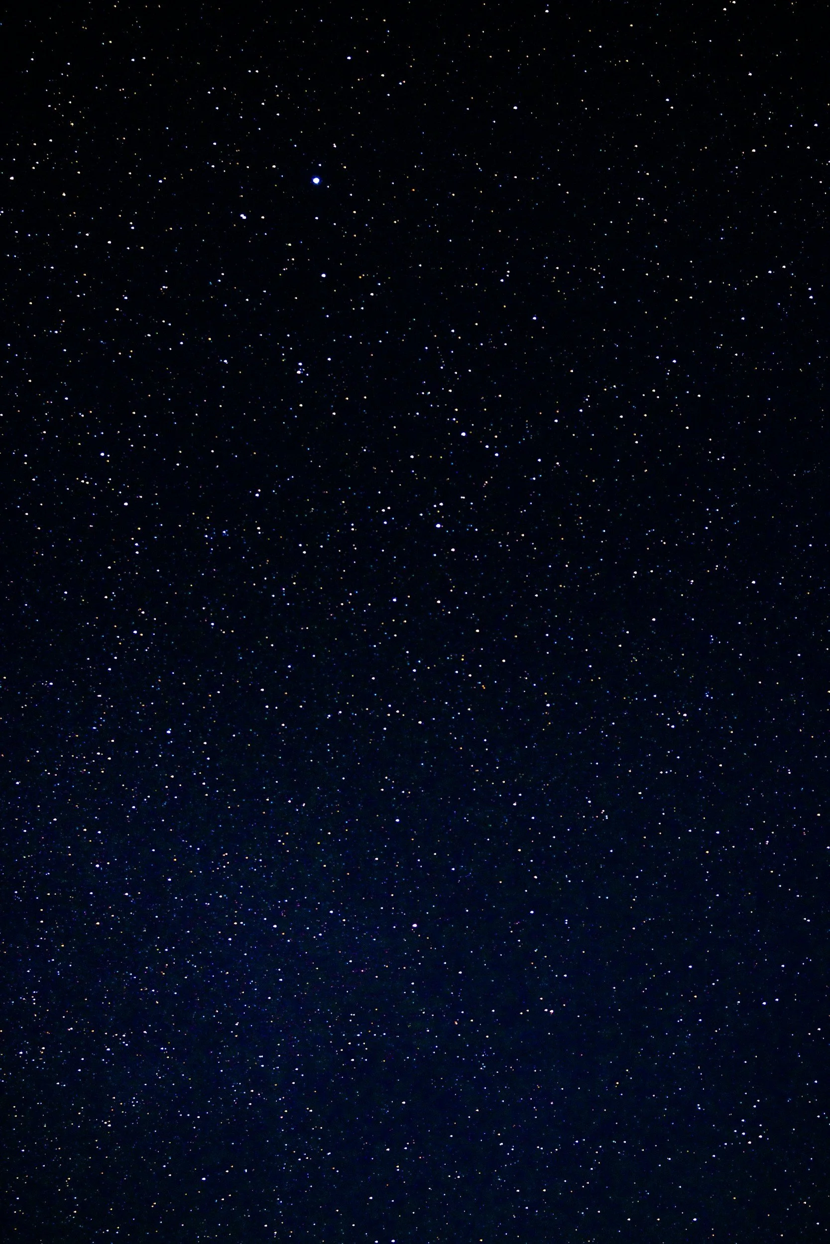 Intentional Insomnia