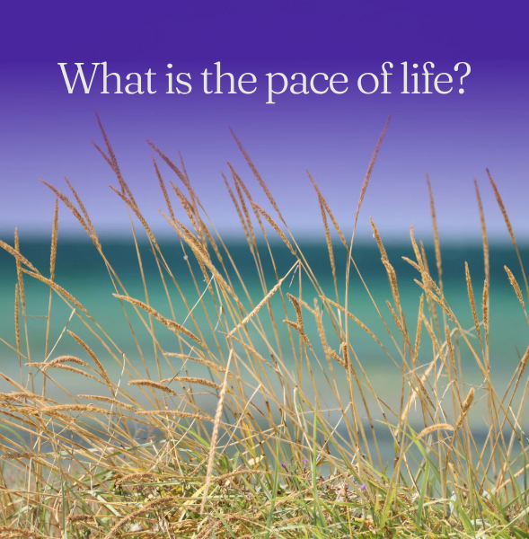 What I learned on Sabbatical