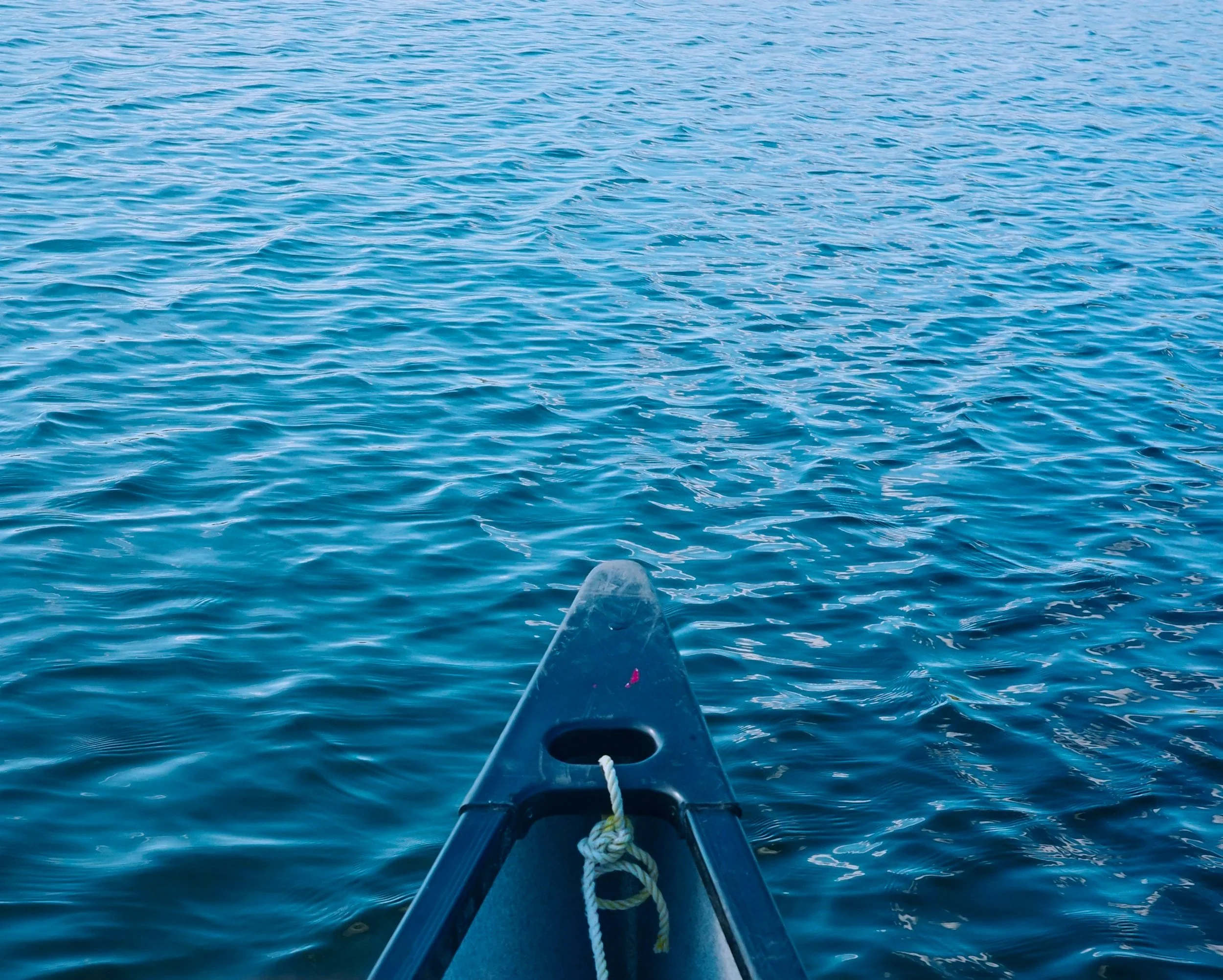 unsplash-image-eUCQ2UYwle0.jpg