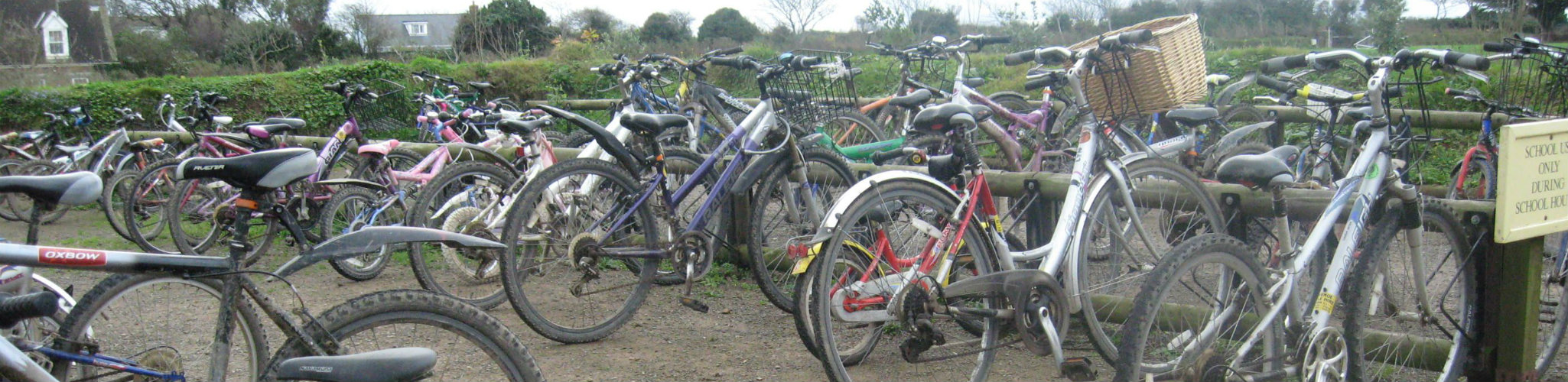 Bikes on sark.jpg