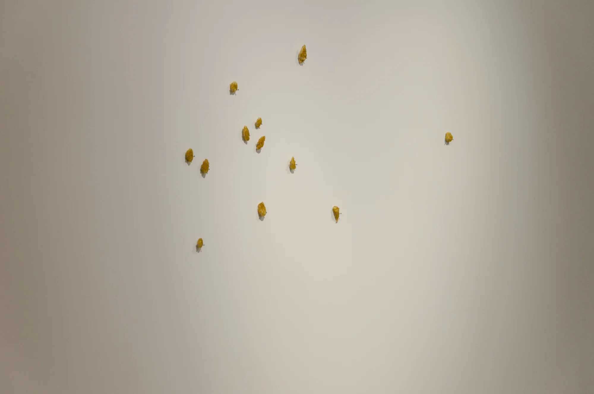 don't push . 2015. (install view). casein, shellac. dimensions variable