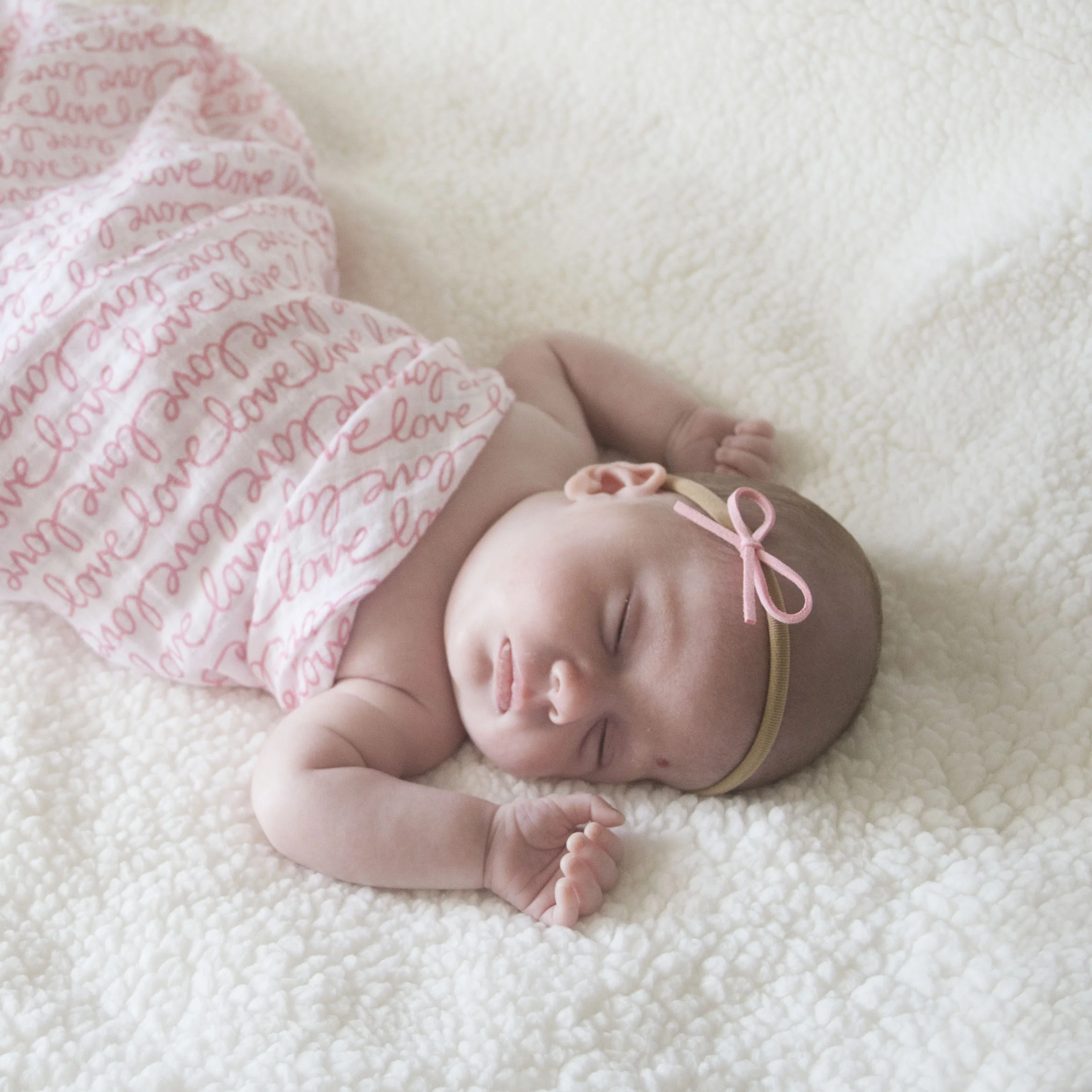 _MG_1920-crop.jpg