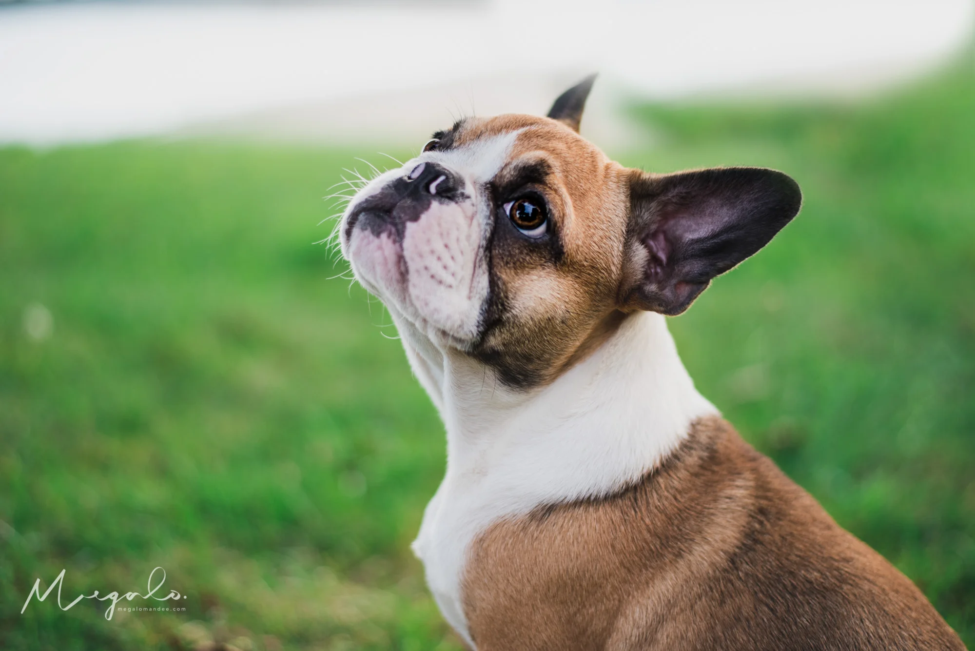 MAC_1028-Edit.jpg