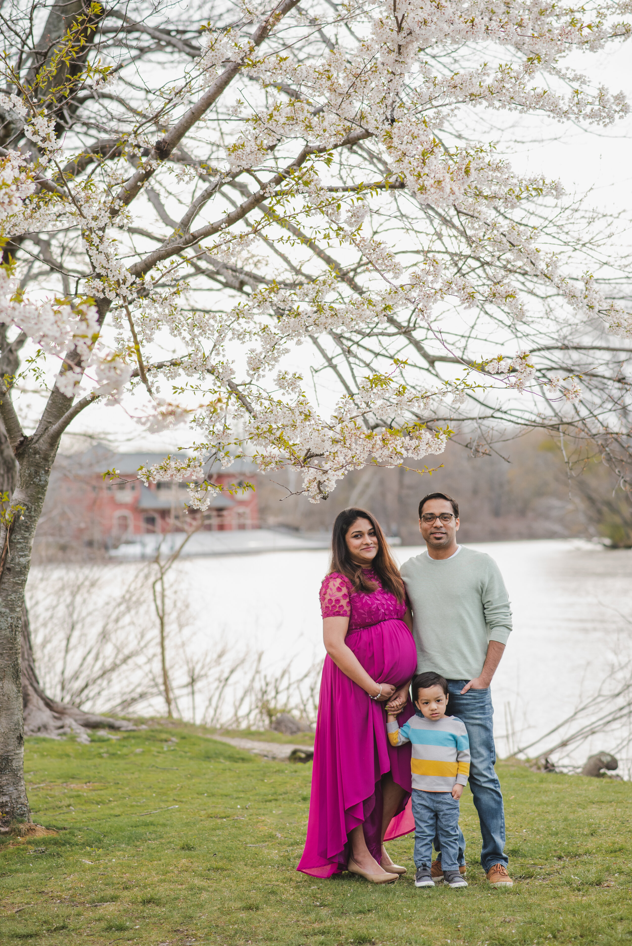 Sabitha-Maternity-Session-Charles-River-6.jpg