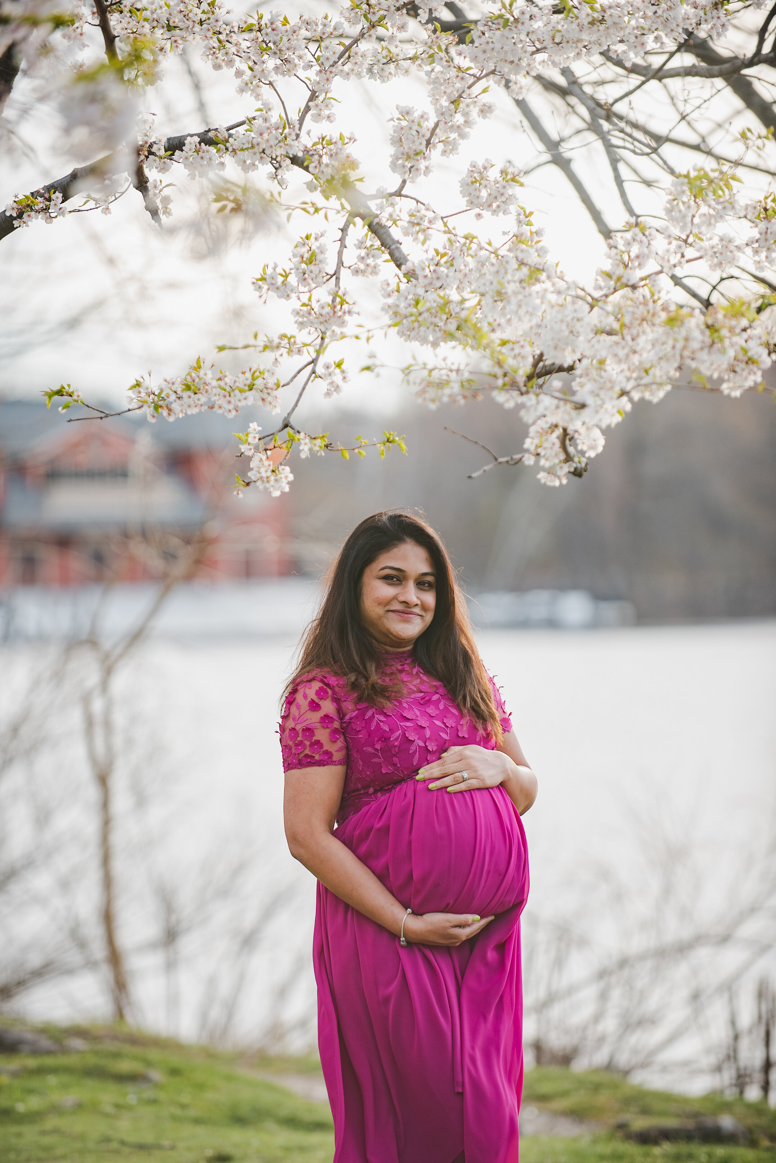 Sabitha-Maternity-Session-Charles-River-45.jpg