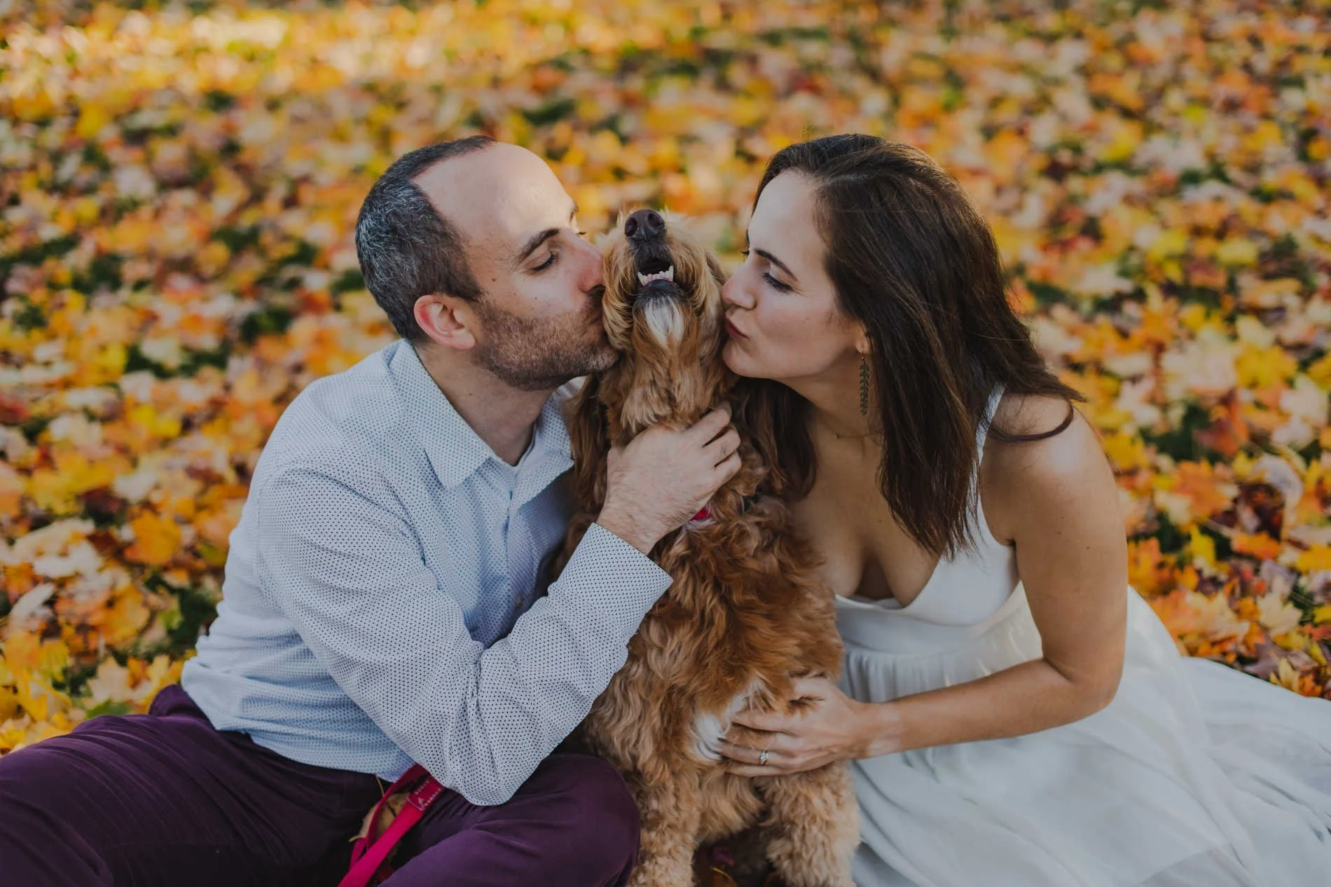 Capturing Forever at the Arlington Town Hall