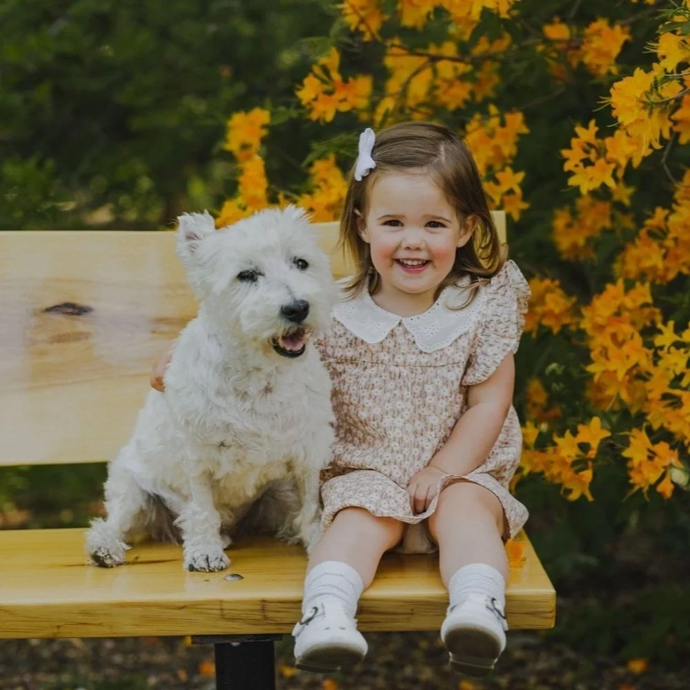Blooms of Joy: Why Your Family Should Book a Spring Mini Session