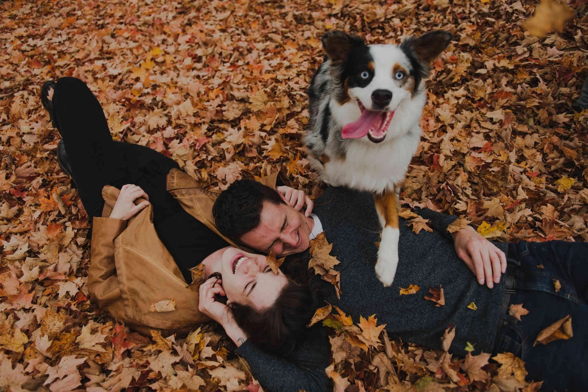 Booking For Fall 2024 Mini Sessions Is Now Open!