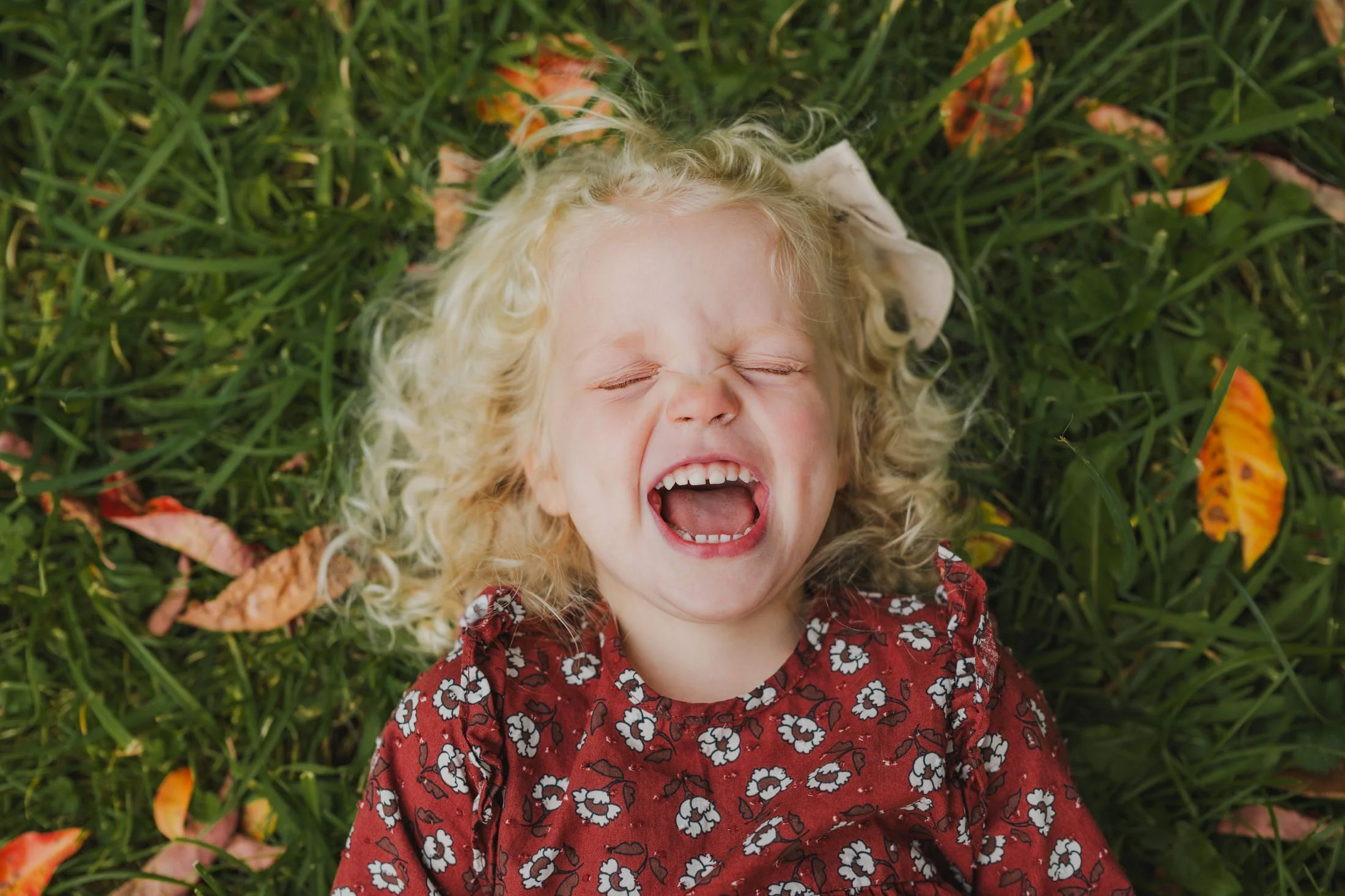 Last Call for Fall Minis! Limited Spots Available