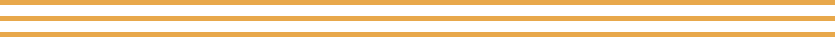 Three yellow horizontal lines.