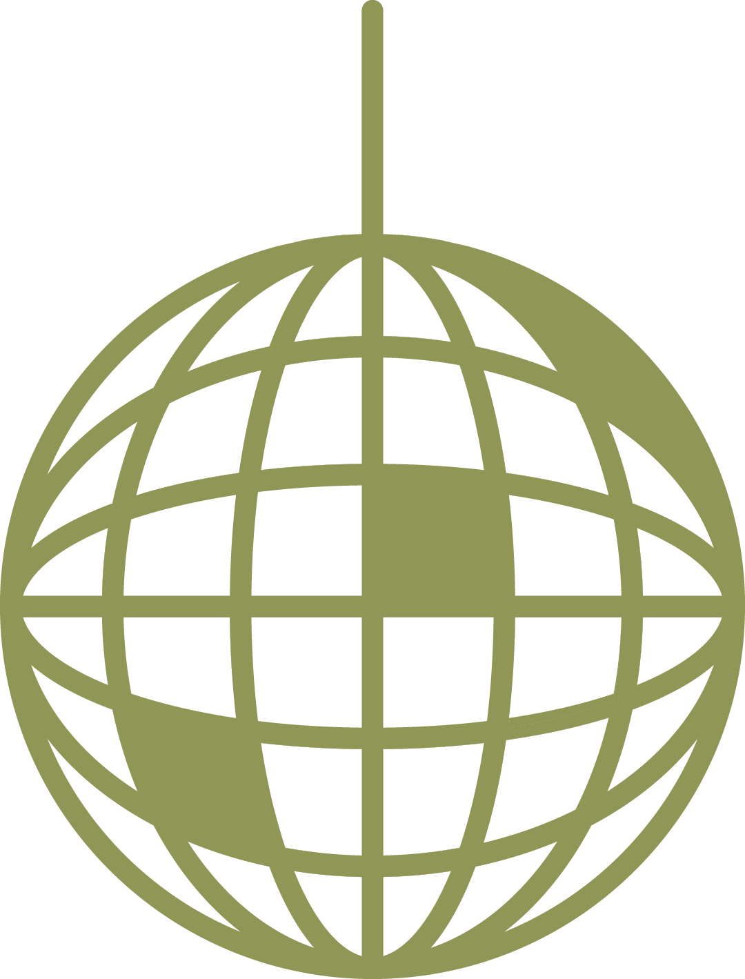 Green globe icon with latitude and longitude lines on a black background.
