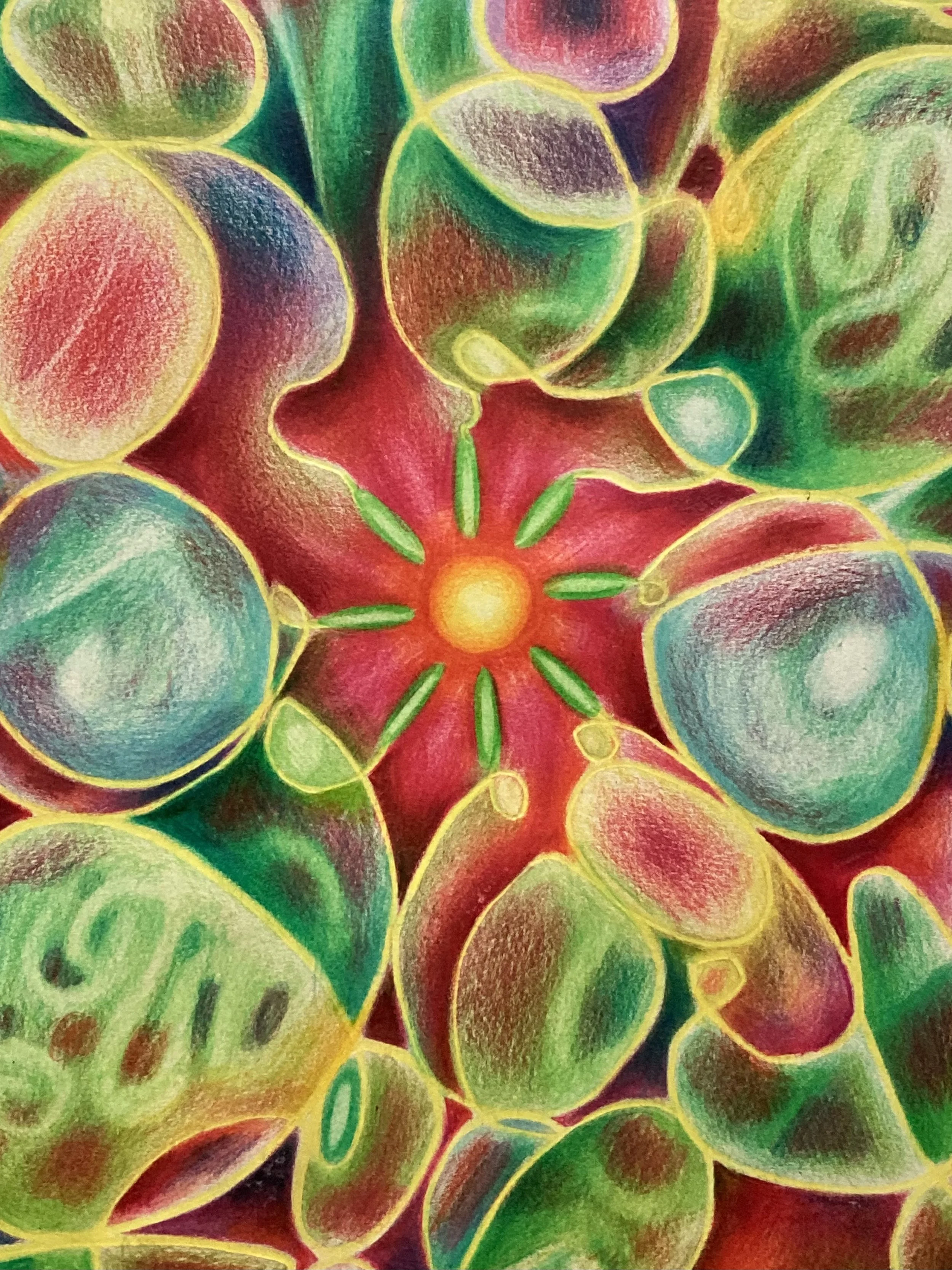 Drawing Detail Digital Image 3.jpg