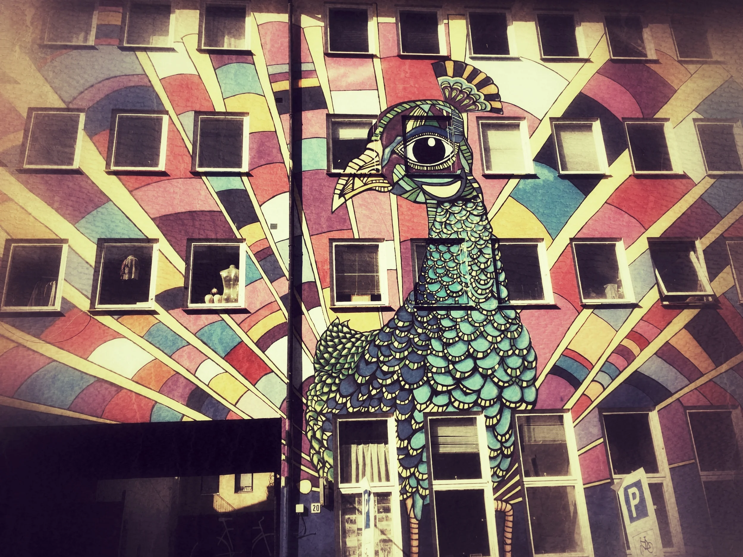 Grunerlokka Peacock