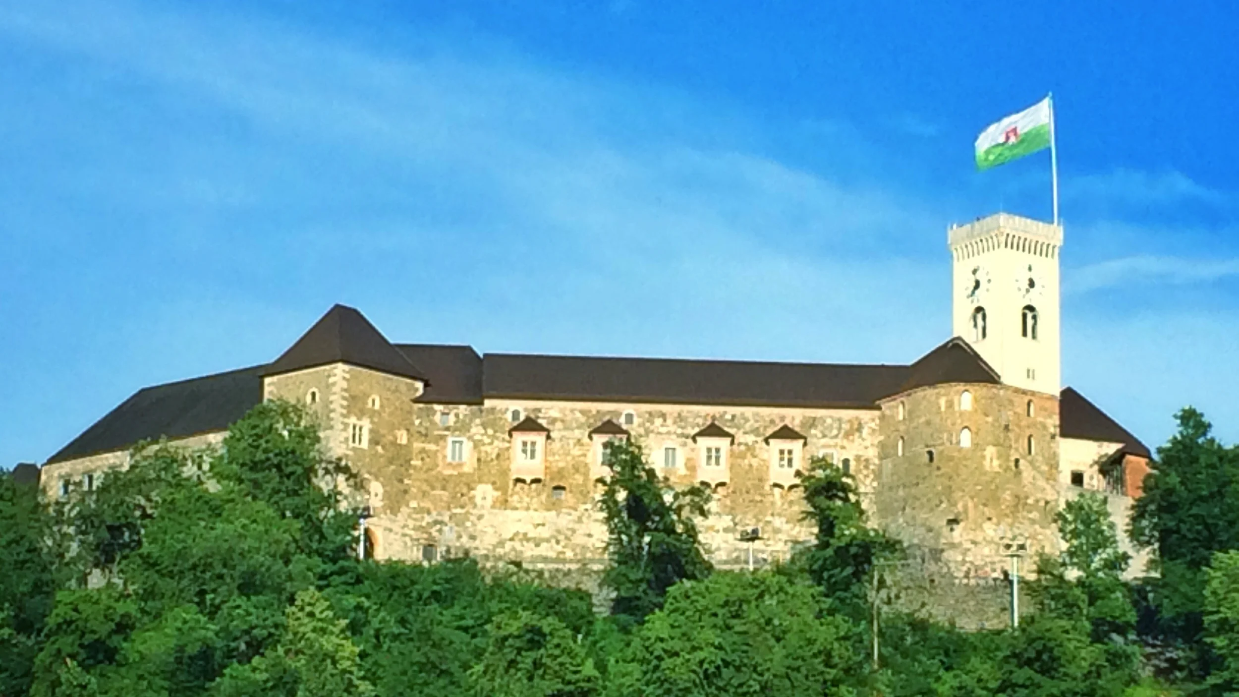 IMG_3590.JPG