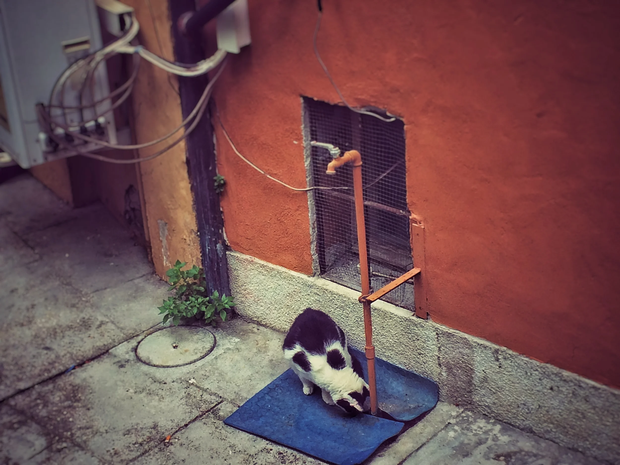 2016-06-20 13.07.43-2.jpg