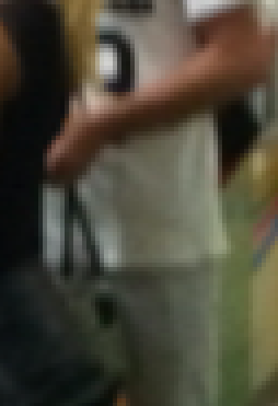 Pixelation does cruel things to an attractive, faux snow leopard print.