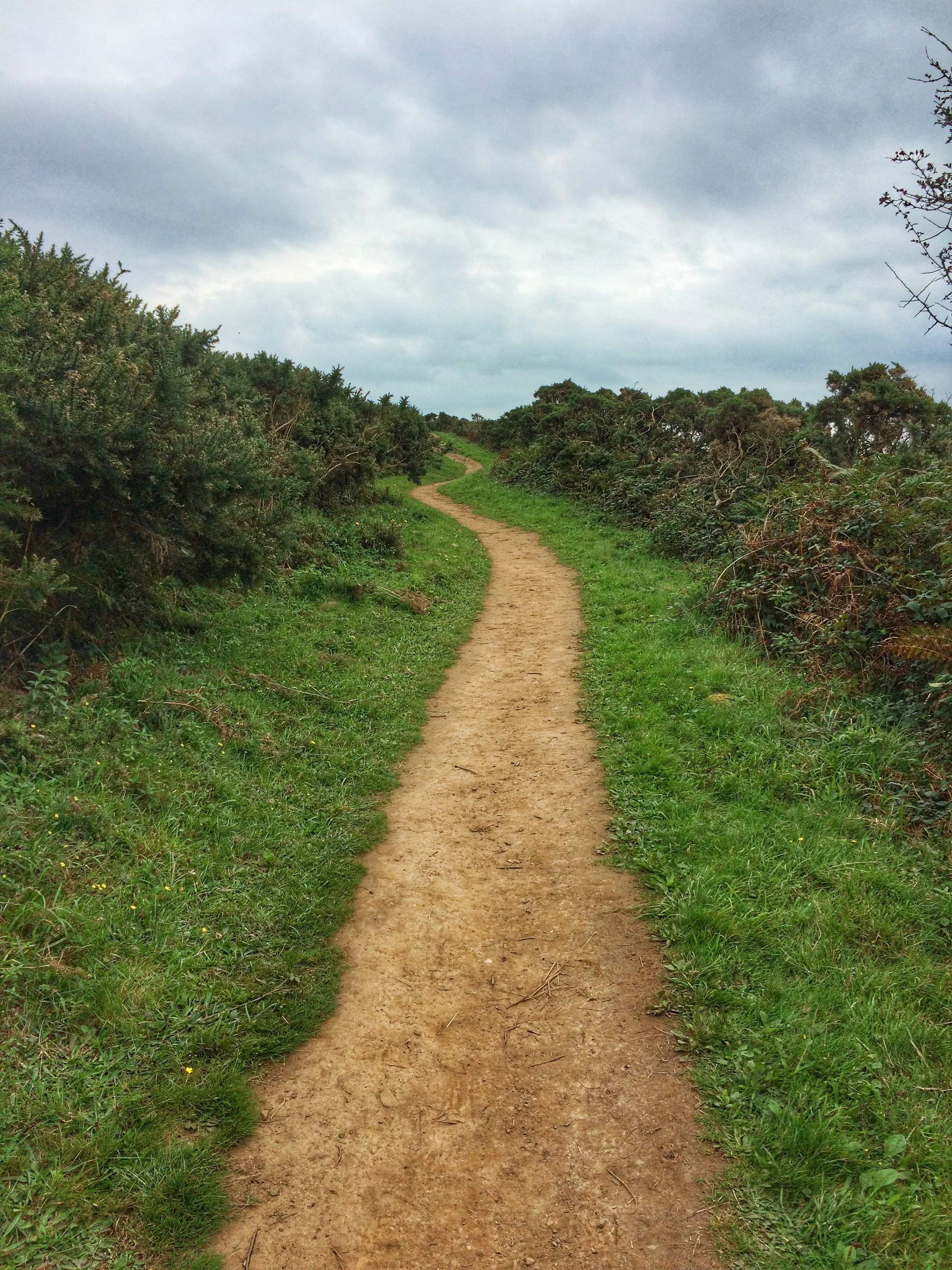 2016-09-21 11.49.14-2.jpg