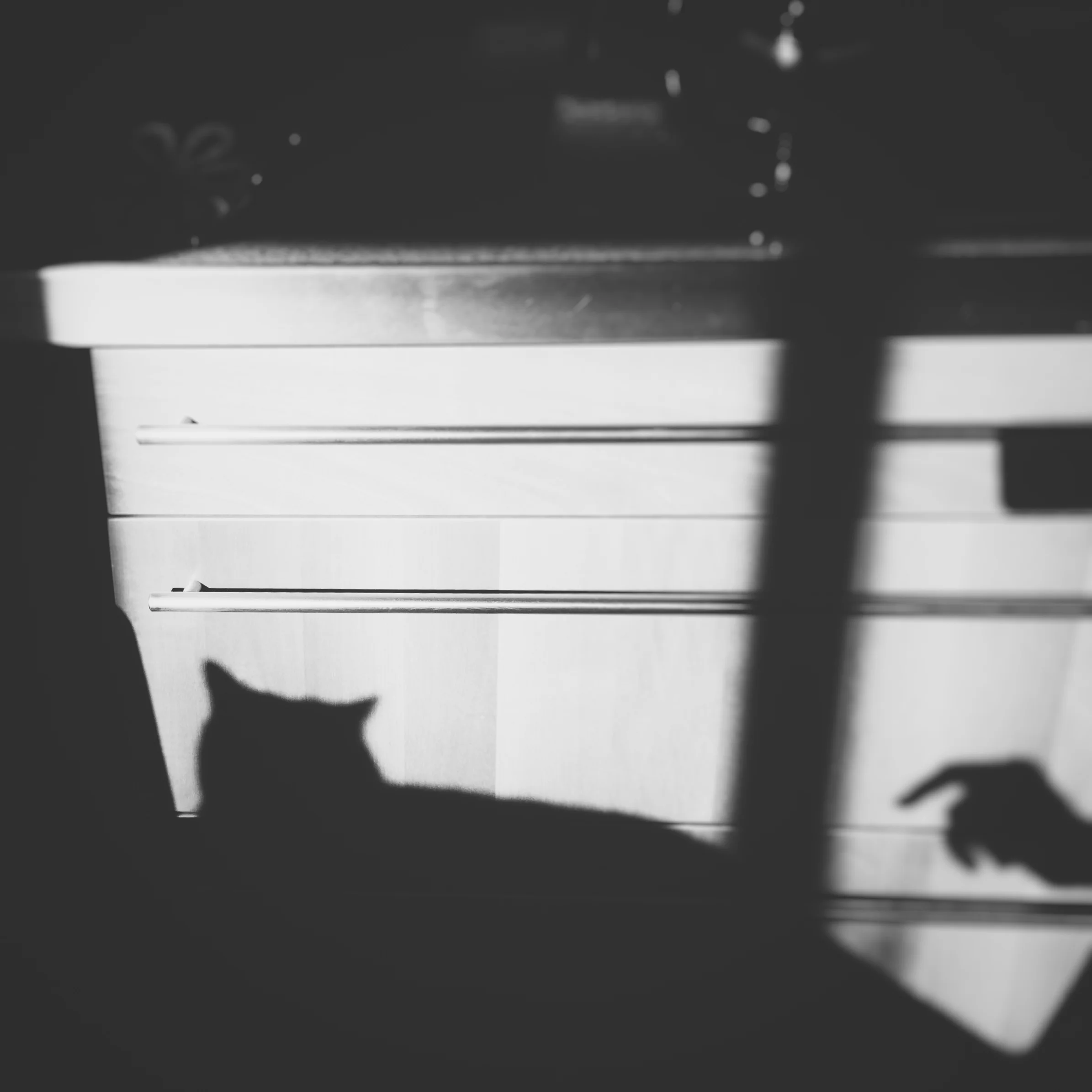2016-10-19 09.58.01-2.jpg
