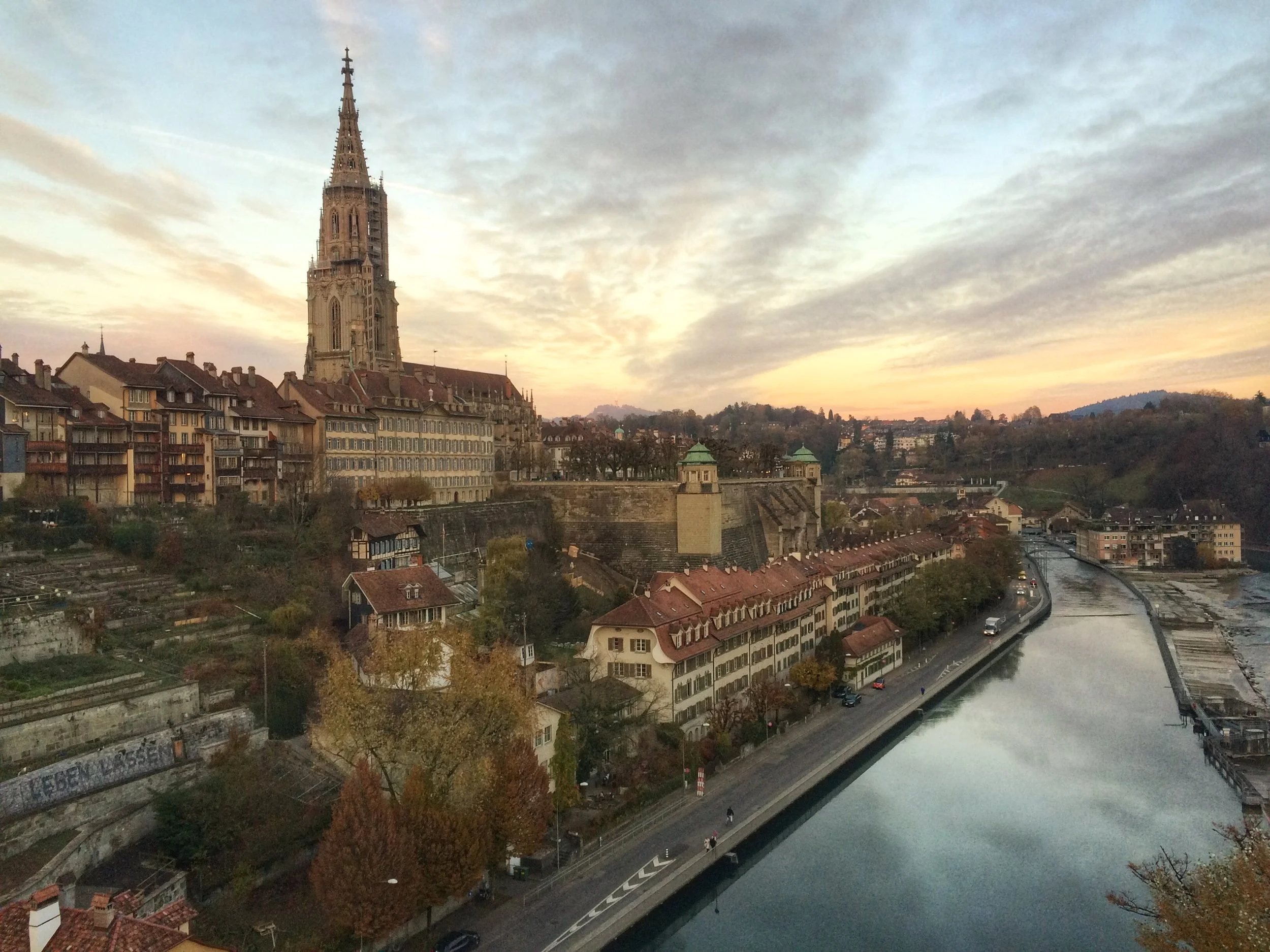 2016-11-15 16.52.05-2.jpg