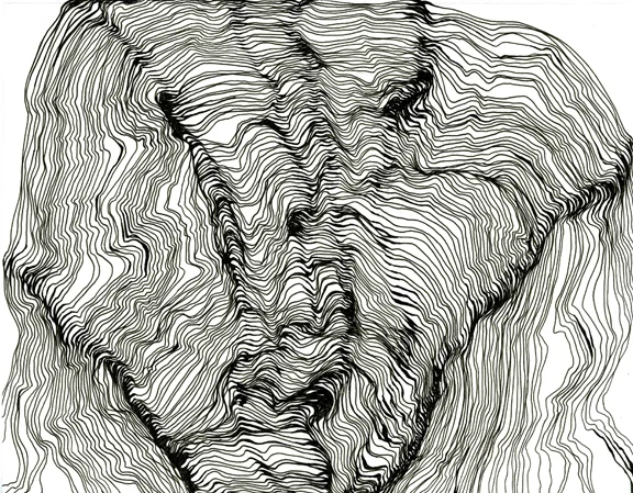 Skull Sutures