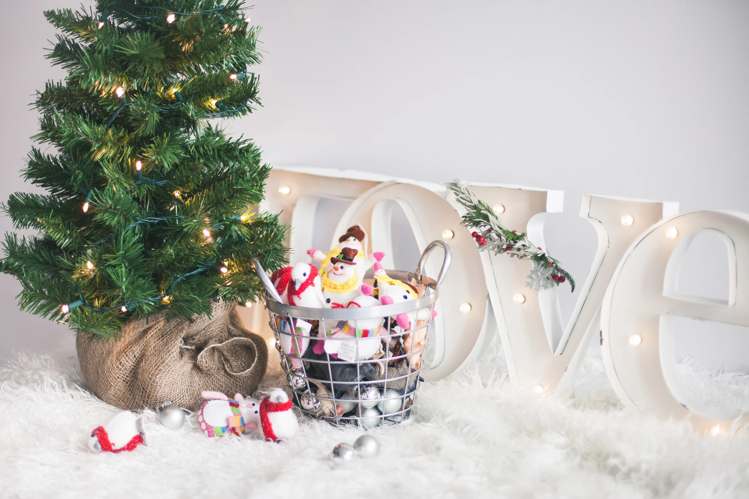 Christmas_Mini_Sessions-103.jpg