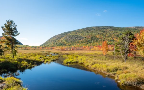 Arcadia National Park/ Photo Credit: John Westrock