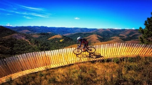 bike-2934832_1280.jpg