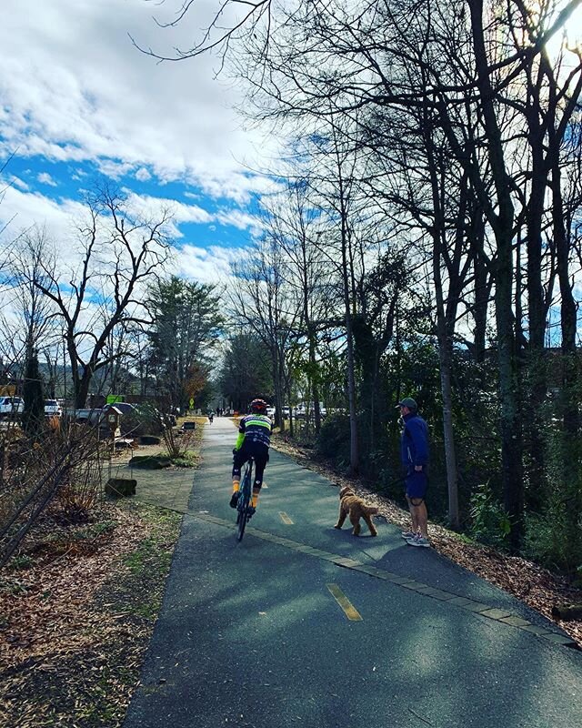 Wondering what South Carolina is like in January? Come see for yourself! It&rsquo;s a beautiful day on the Swamp Rabbit Trail! 🐰🚴&zwj;♂️☀️ @swamprabbittrail &bull;
&bull;
&bull;
#swamprabbittrail #greenvillesc #travelersresthere #travelersrestsc #b