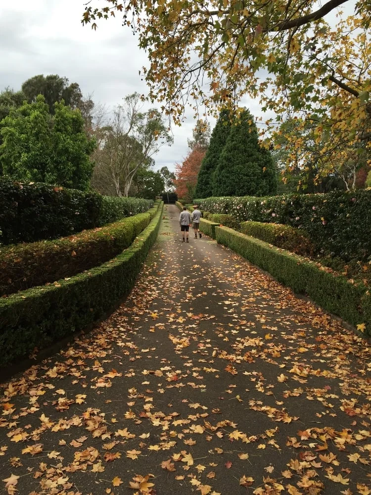 Duffy's Forest, Sydney, NSW