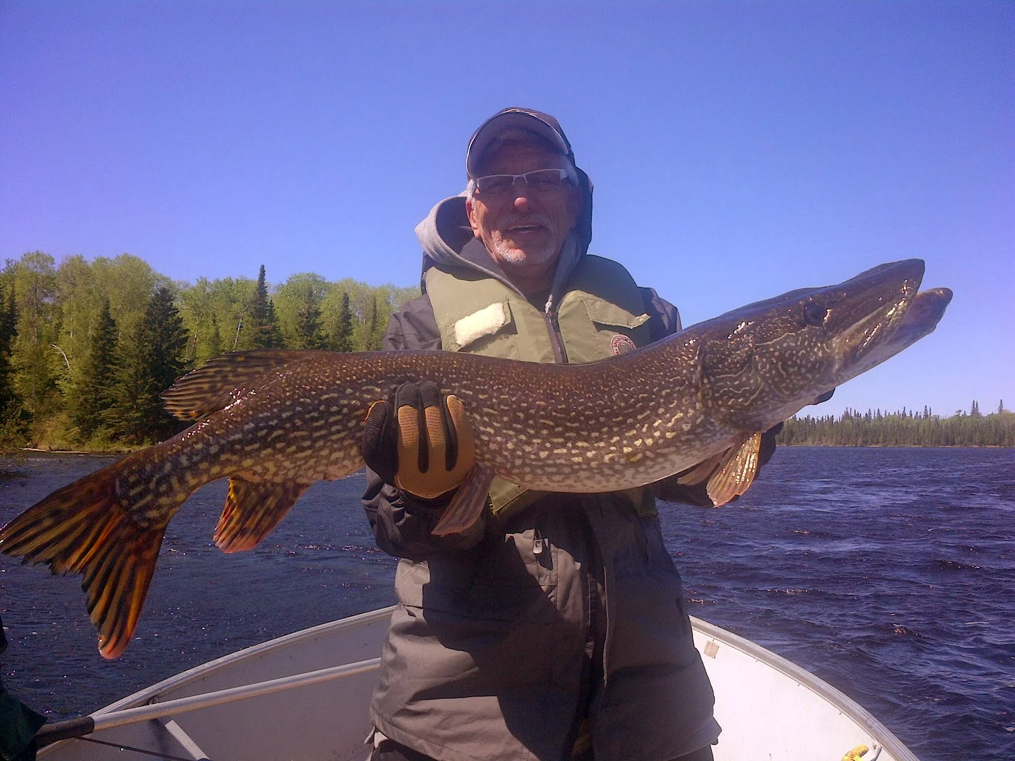 41.5 incher.jpg