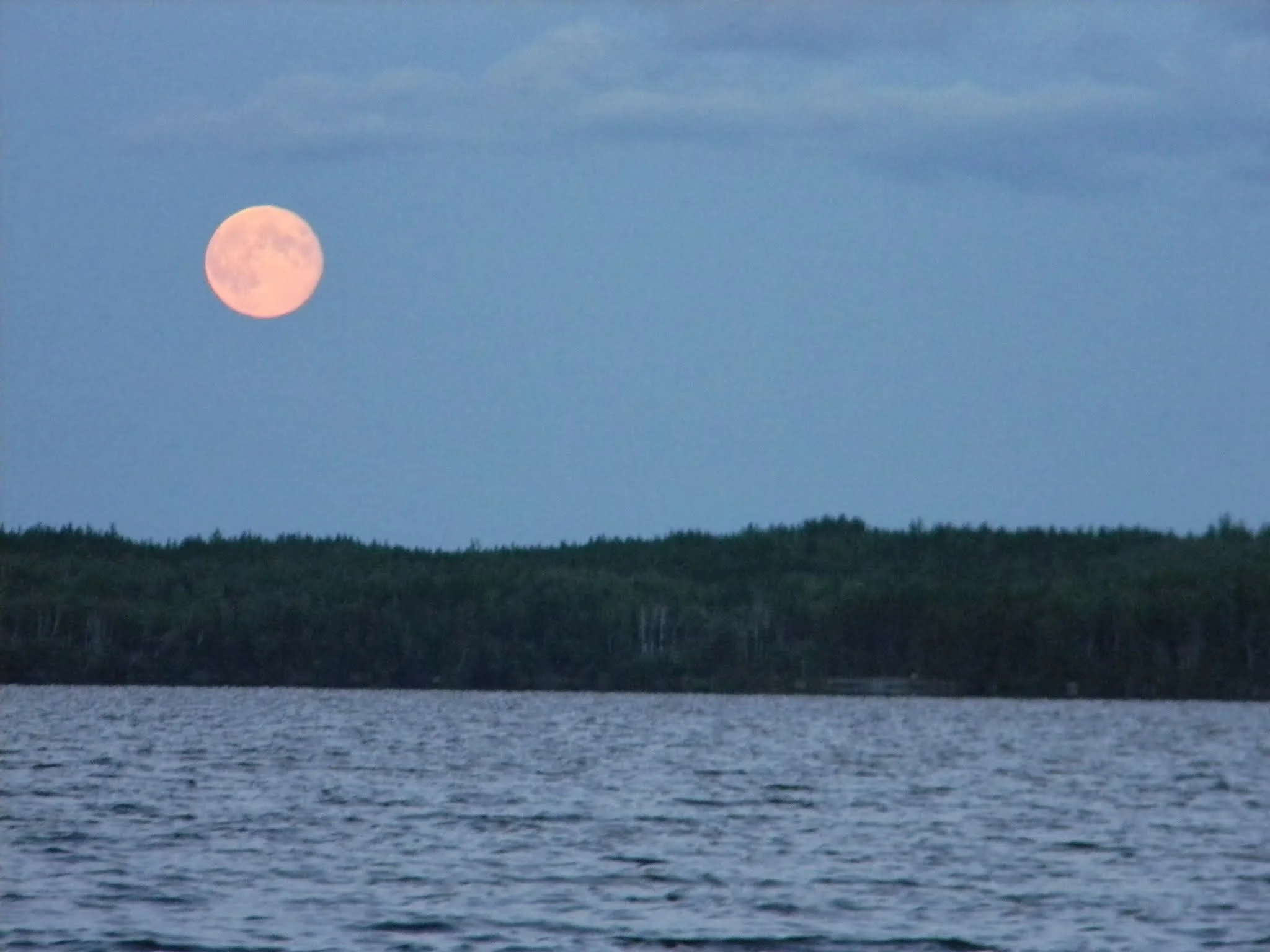 DSCN8232.jpg