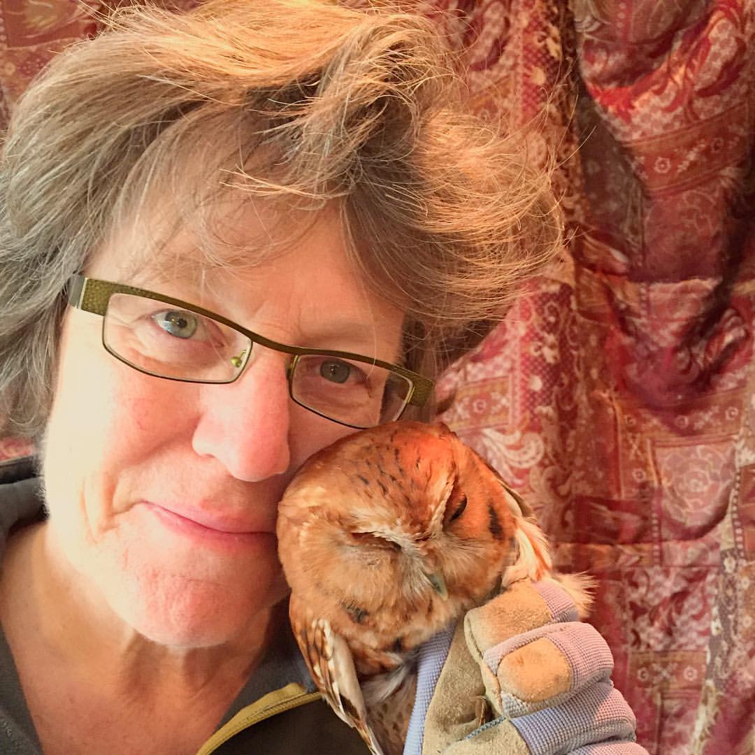 Julie and injured Eastern Screech Owl. Photo Courtesy of Julie Zickefoose.