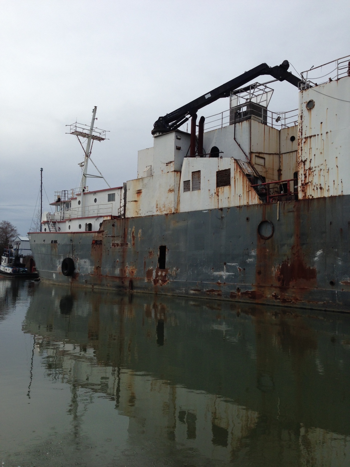 Abandoned vessel along the slough.