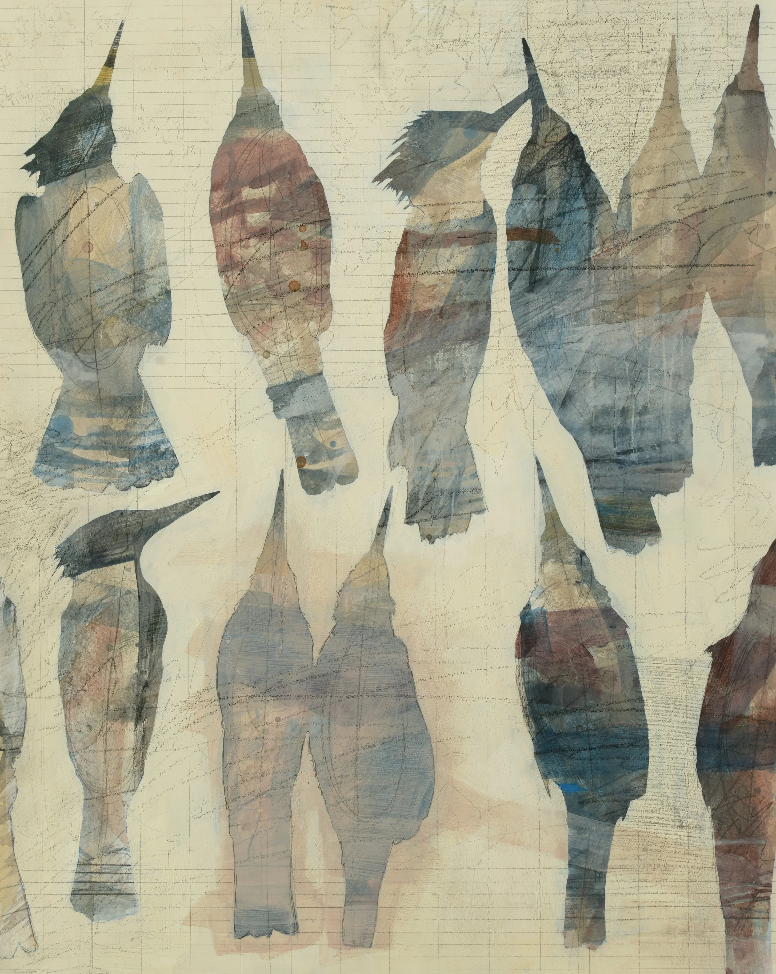 Shae Warnick study of Belted Kingfisher skins.