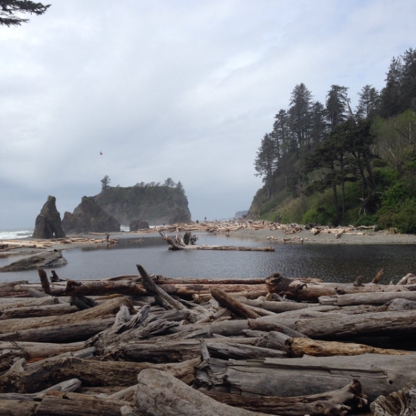 Ruby Beach driftwood expanse