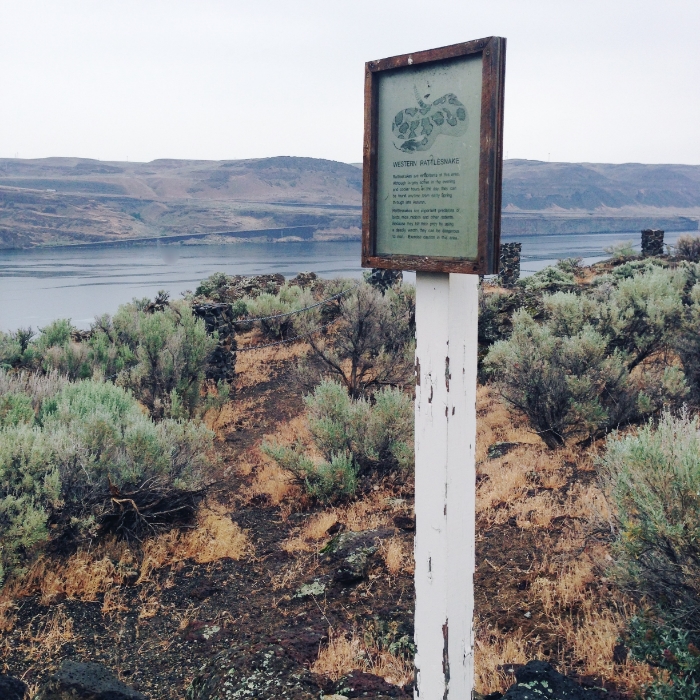 Ginkgo Petrified Forest State Park. Rattlesnake warning sign along the cliff side walk.