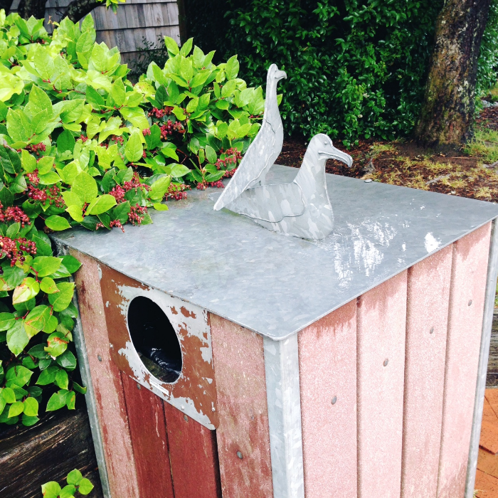 Glaucous wing gull feature on the public trash bin containers, Manzanita.