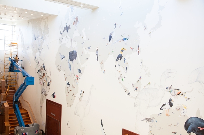 The Wall, for an idea of the scale. Photo courtesy of Melissa Groo.