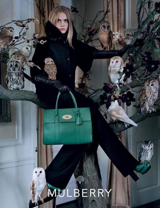 More Mulberry F/W 2013. Among the owls: Barn Owl, Ashy-faced Owl, Tawny Owl, White-faced Scops Owl, and Little Owl, . Image: Tim Walker