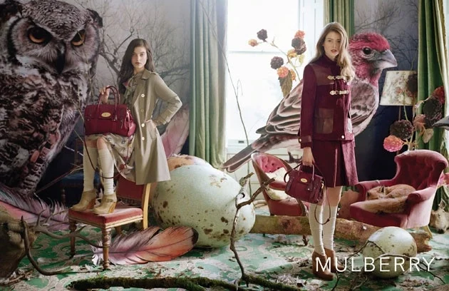 Mulberry F/W 2011. House finch and Great-horned owl in background. Image Tim Walker