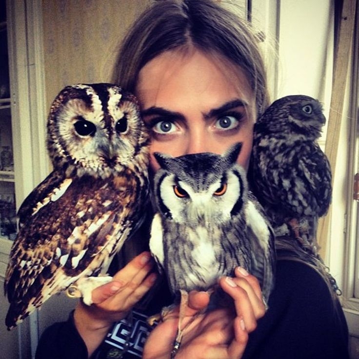 Cara Delevingne with some of the owls (L to R Tawny, White-faced Scops and Little) from the shoot. No gloves, impressive! Image: @ caradelevingne