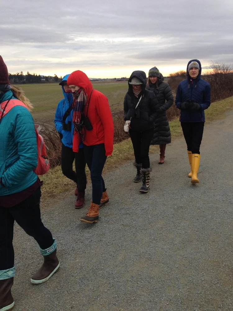 Along the Bayview dike walk, Samish flats. Every kind of boot represented here!