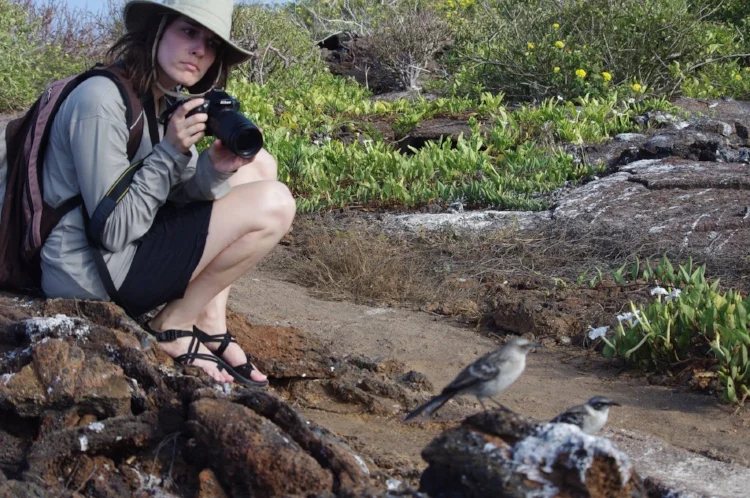 Liz and Galapagos Mockingbirds.
