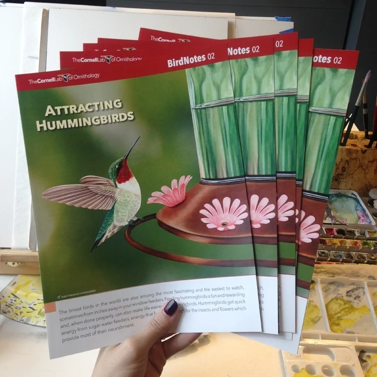 Example of work done for Cornell Lab. Image courtesy of the artist.